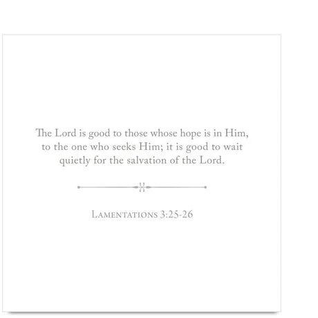 100 Days of Scripture
