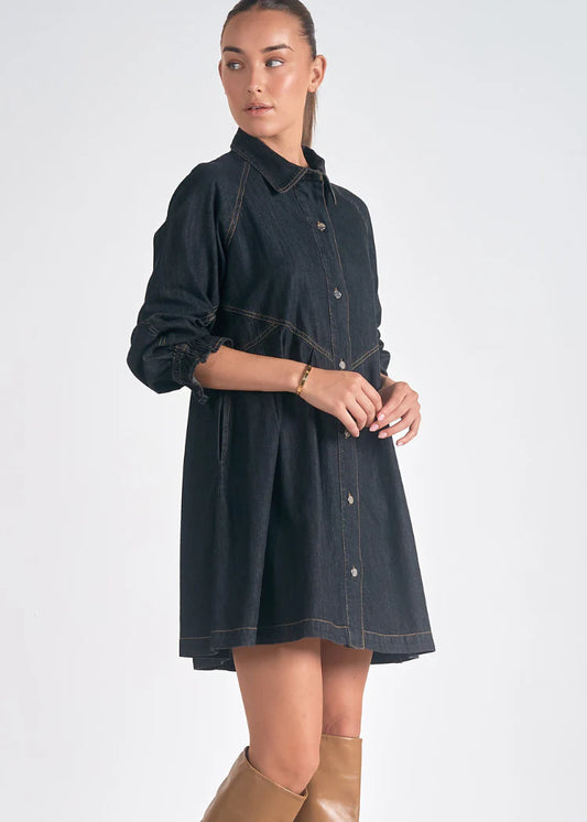 Button Down Denim Dress