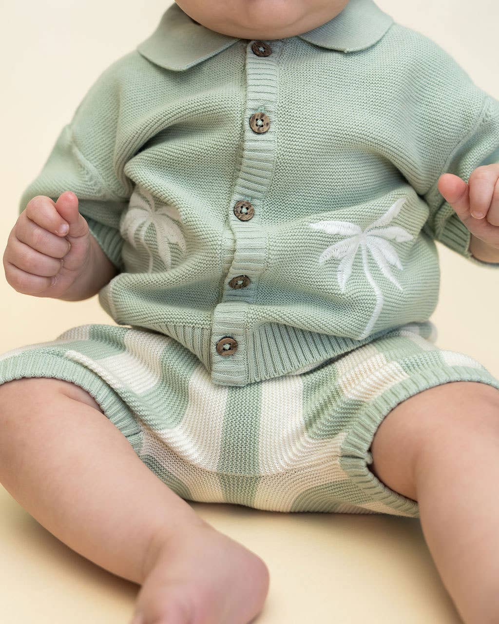 Palm Trees Embroidered Shirt & Shorts Set