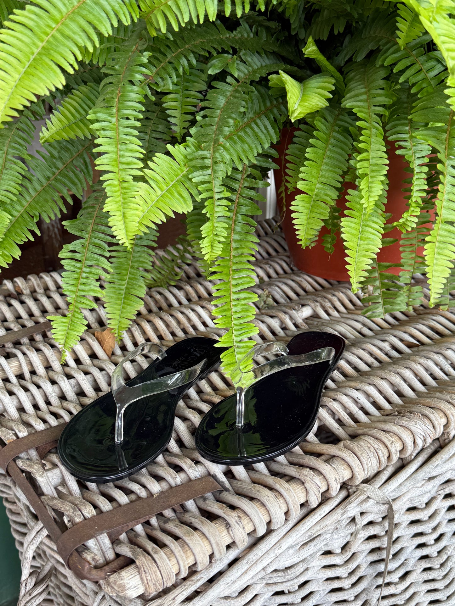 Olsen Flip Flop