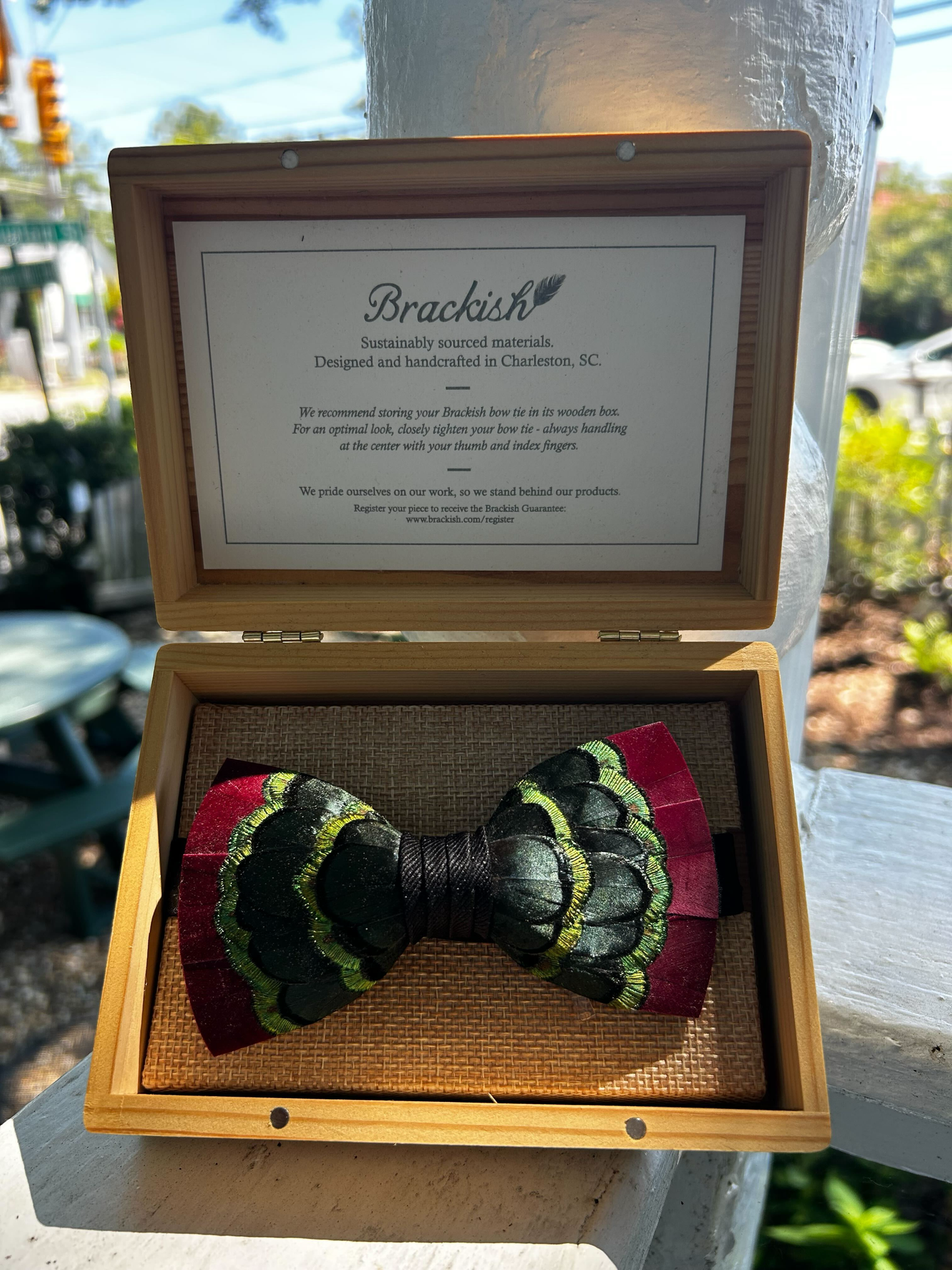 Bow Tie