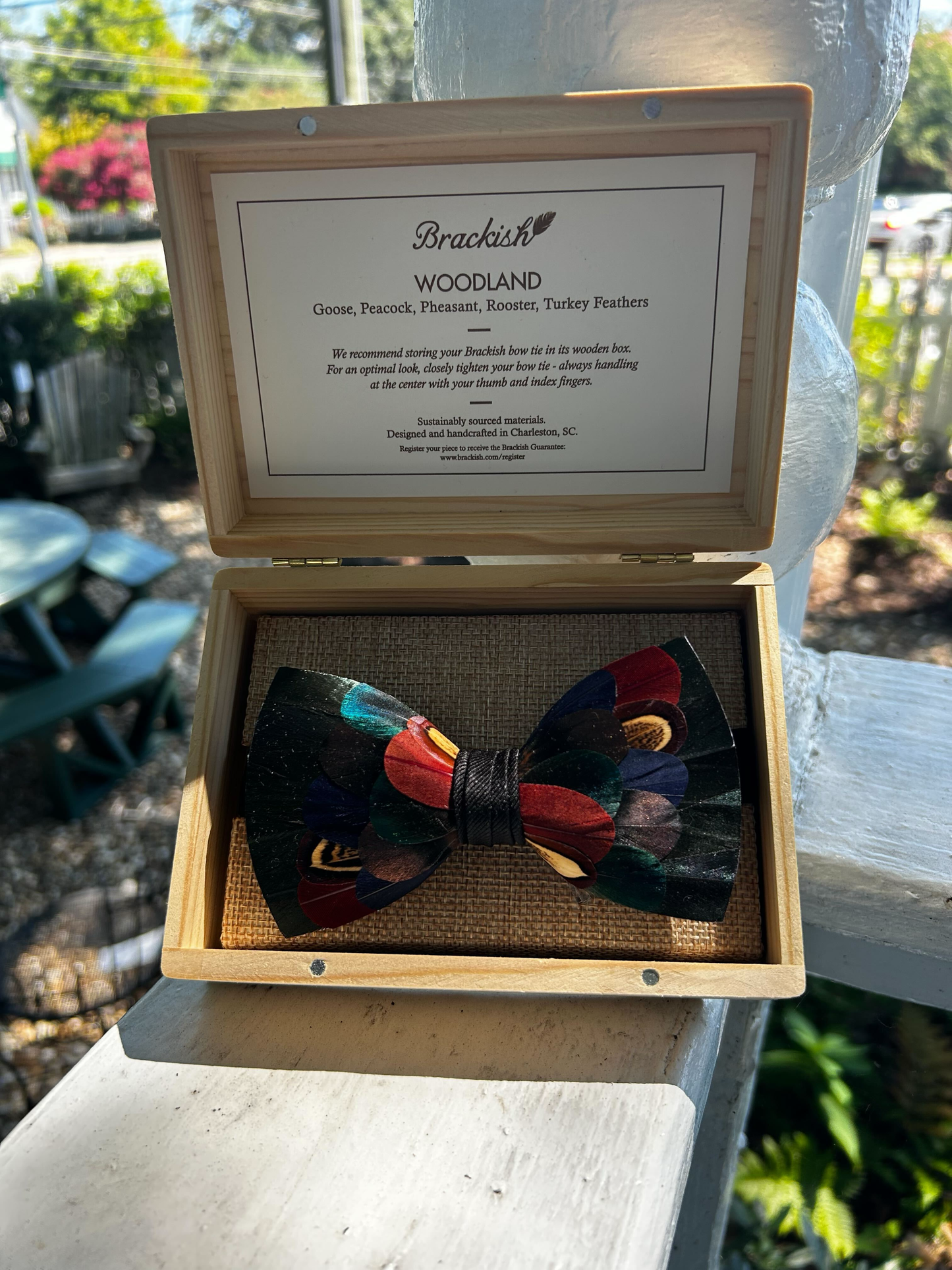 Bow Tie