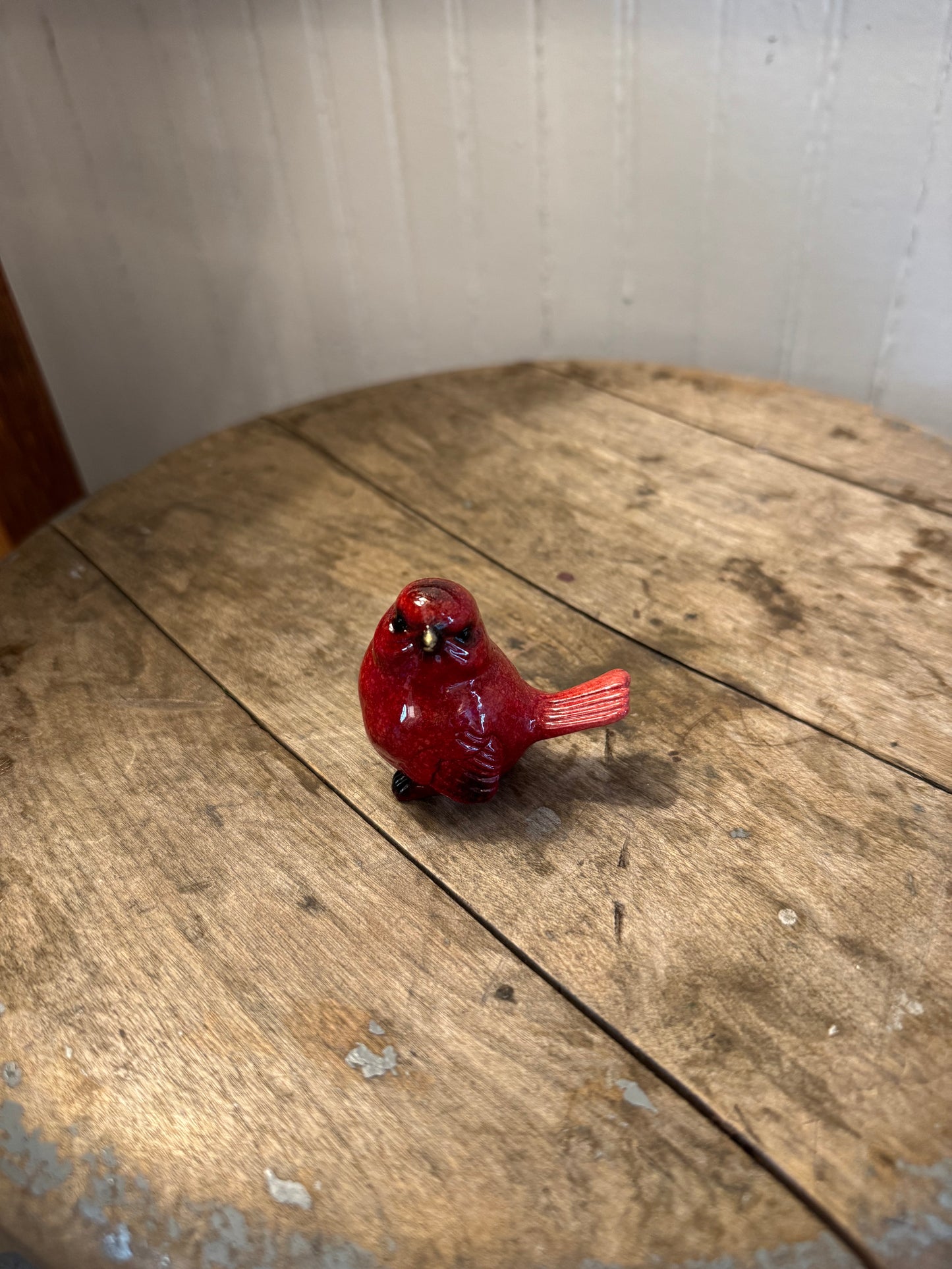 Cardinal Bird