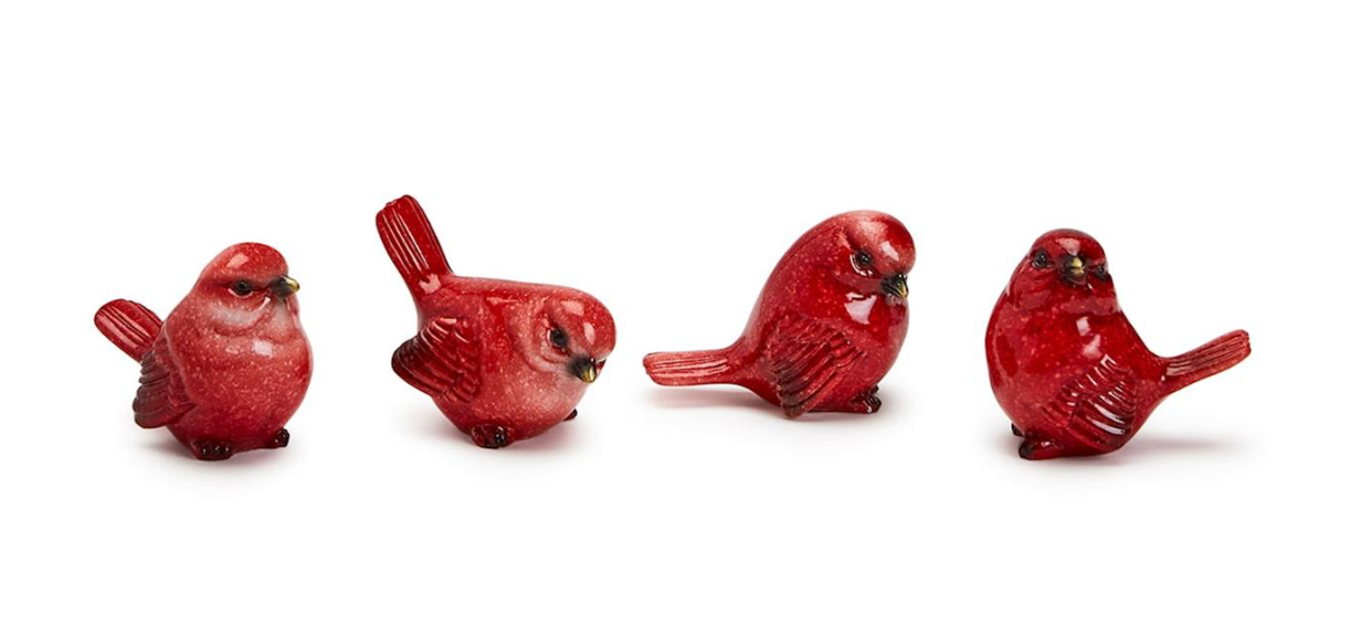 Cardinal Bird