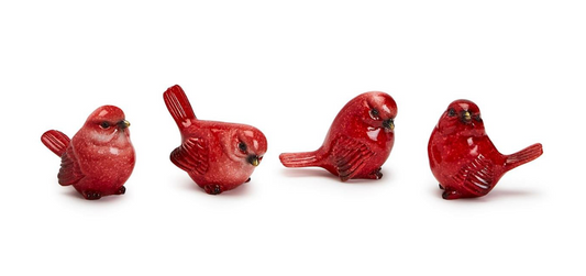 Cardinal Bird